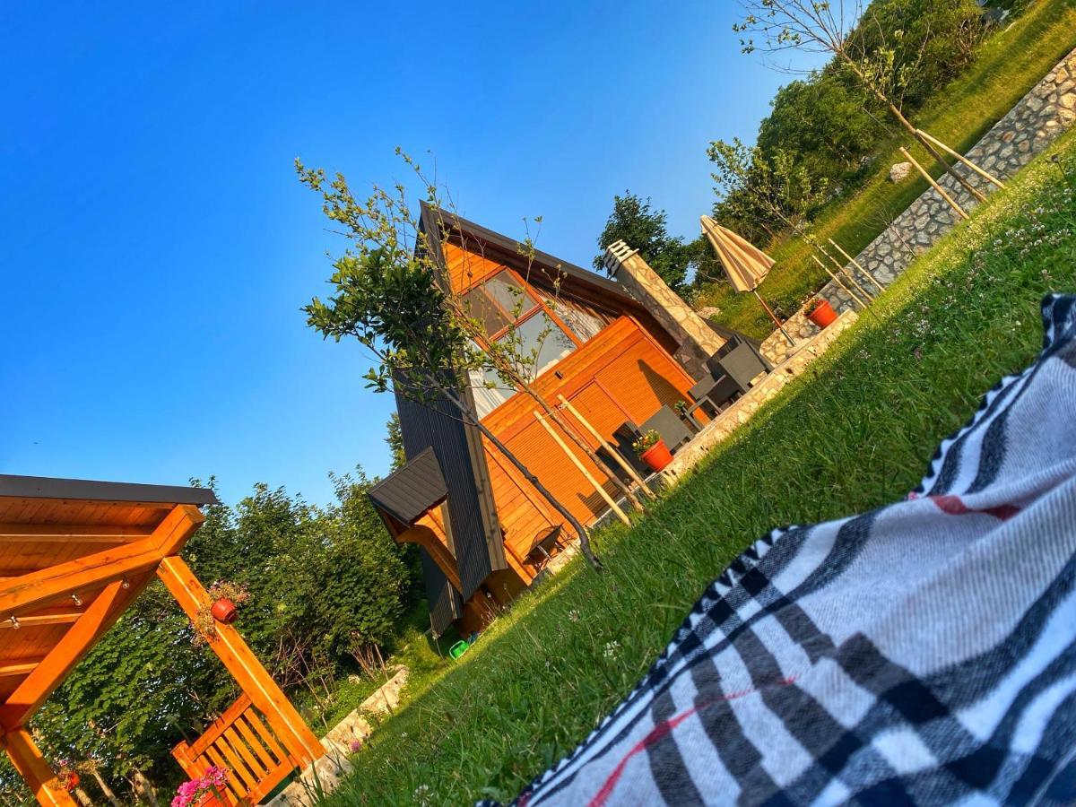 Albero Casa Villa Cetinje Buitenkant foto