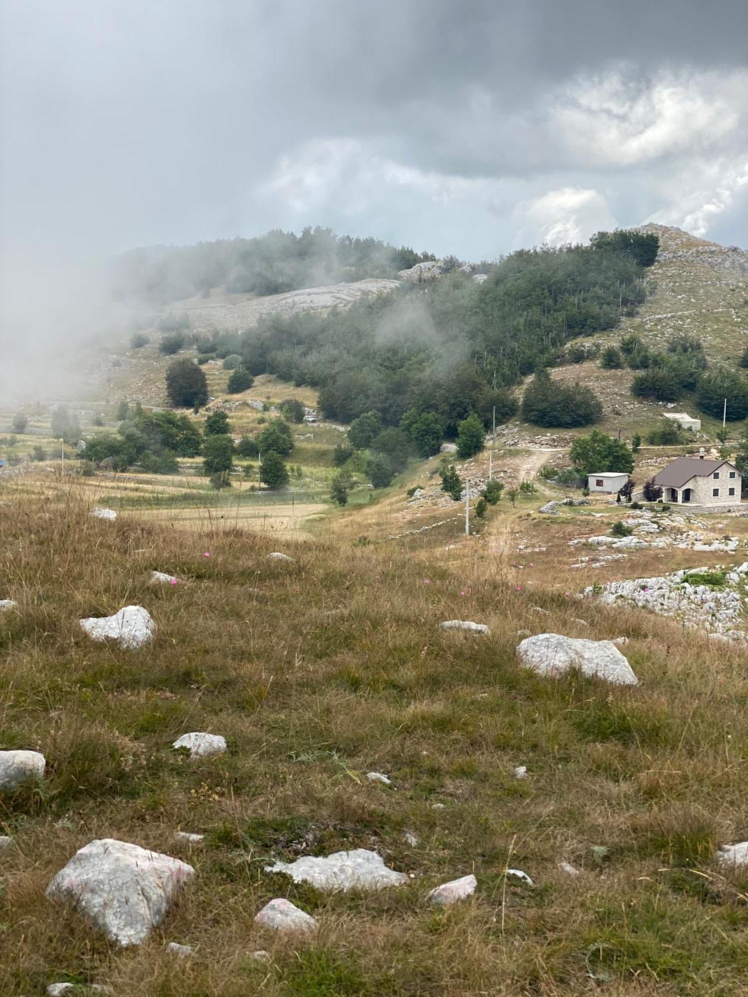 Albero Casa Villa Cetinje Buitenkant foto