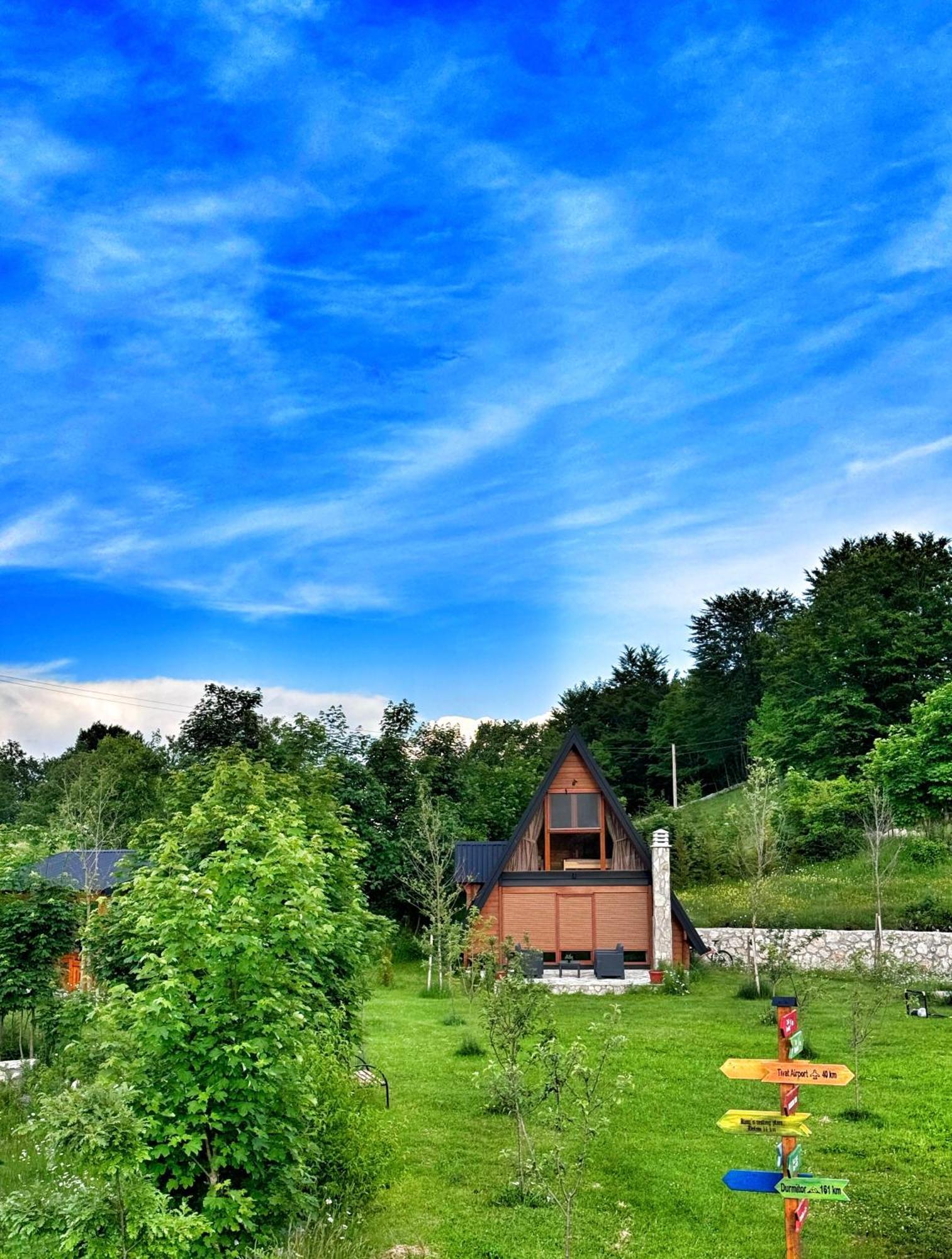 Albero Casa Villa Cetinje Buitenkant foto
