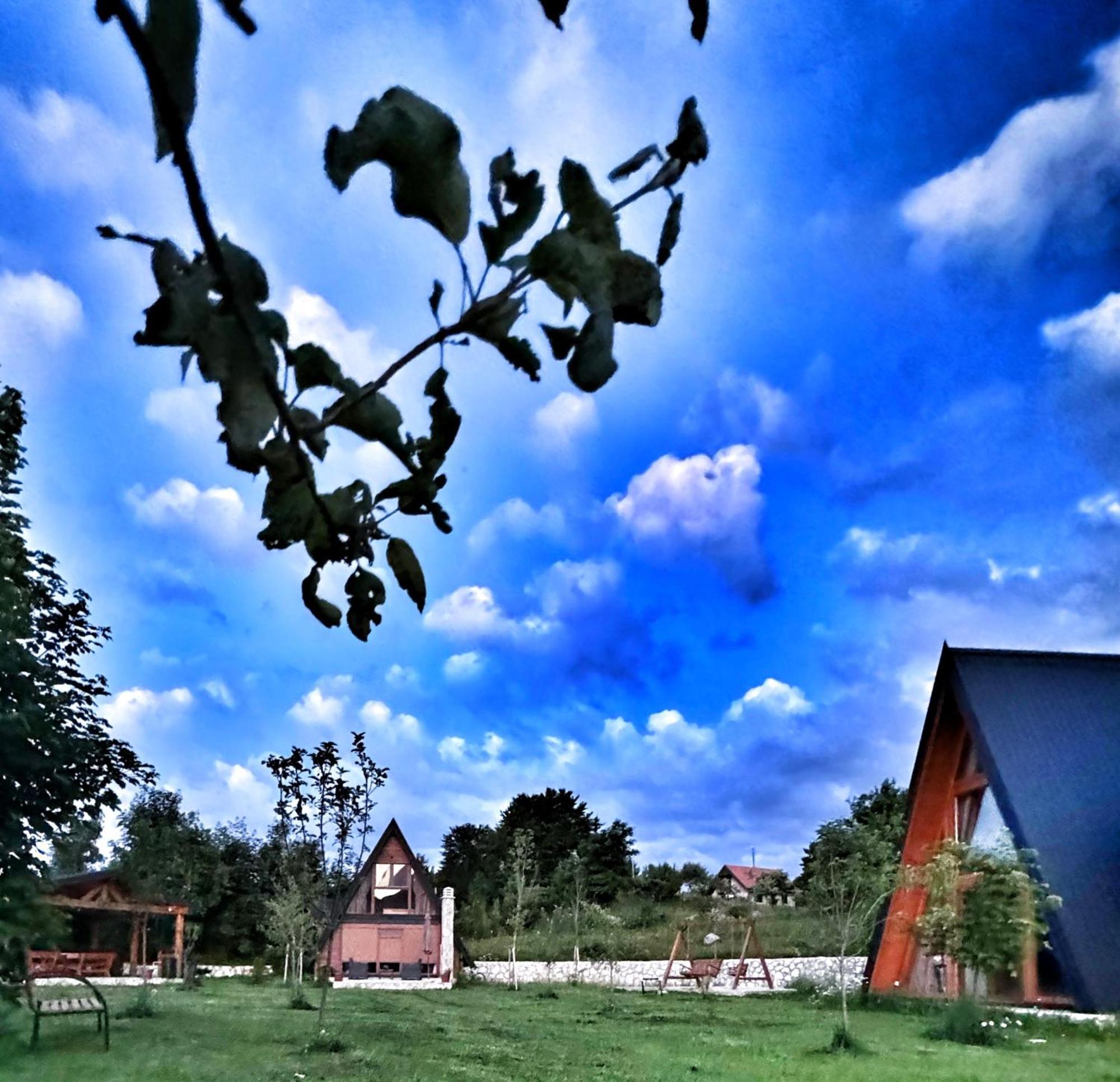 Albero Casa Villa Cetinje Buitenkant foto