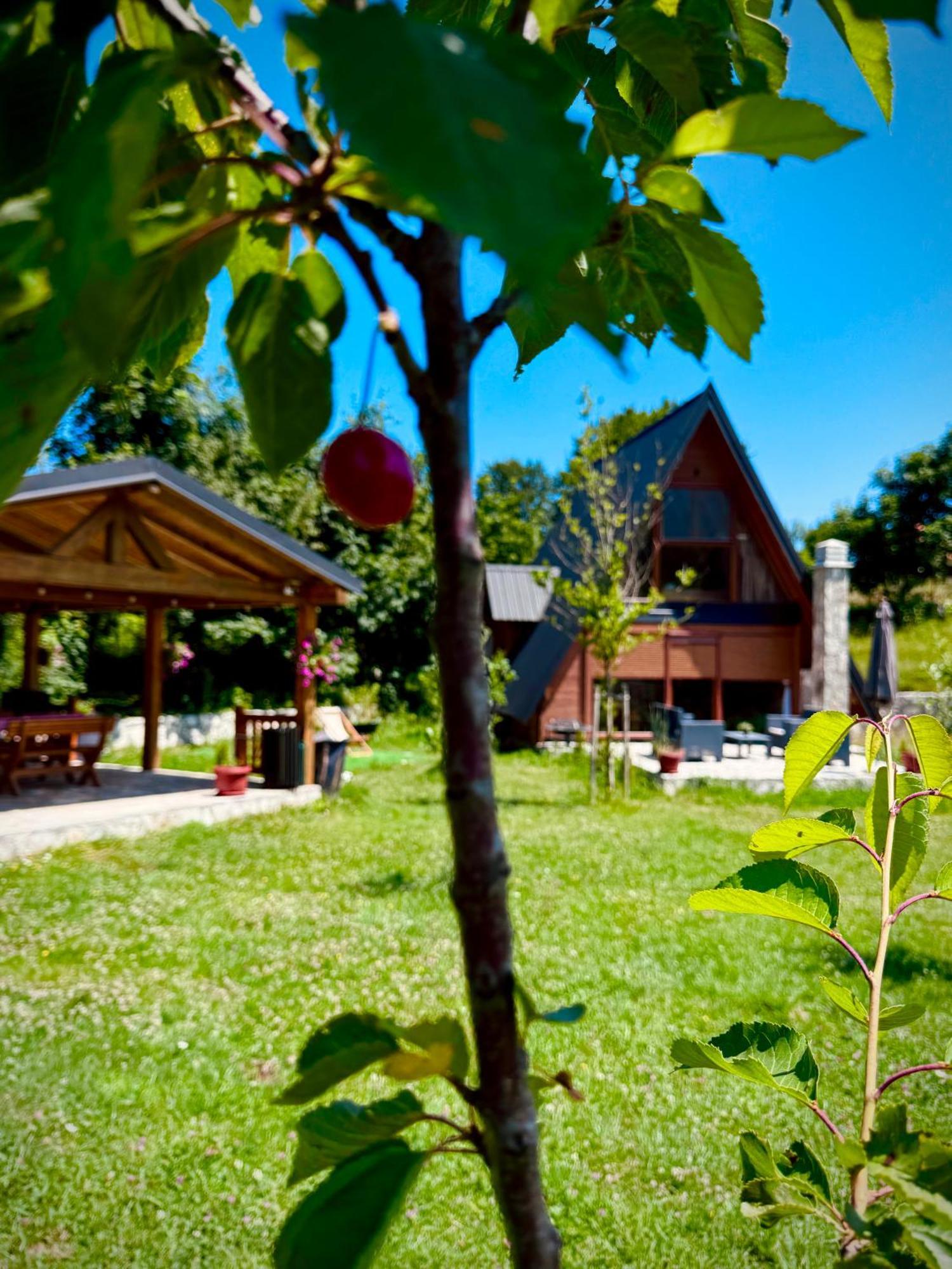 Albero Casa Villa Cetinje Buitenkant foto