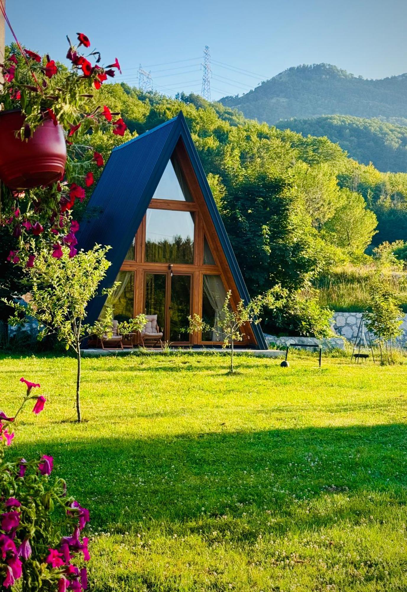Albero Casa Villa Cetinje Buitenkant foto